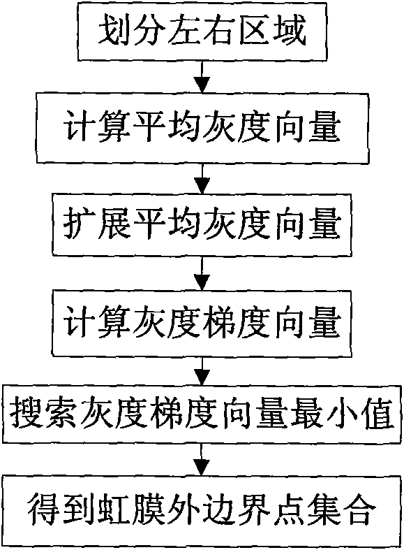 Iris external boundary positioning method based on shades of gray and classifier