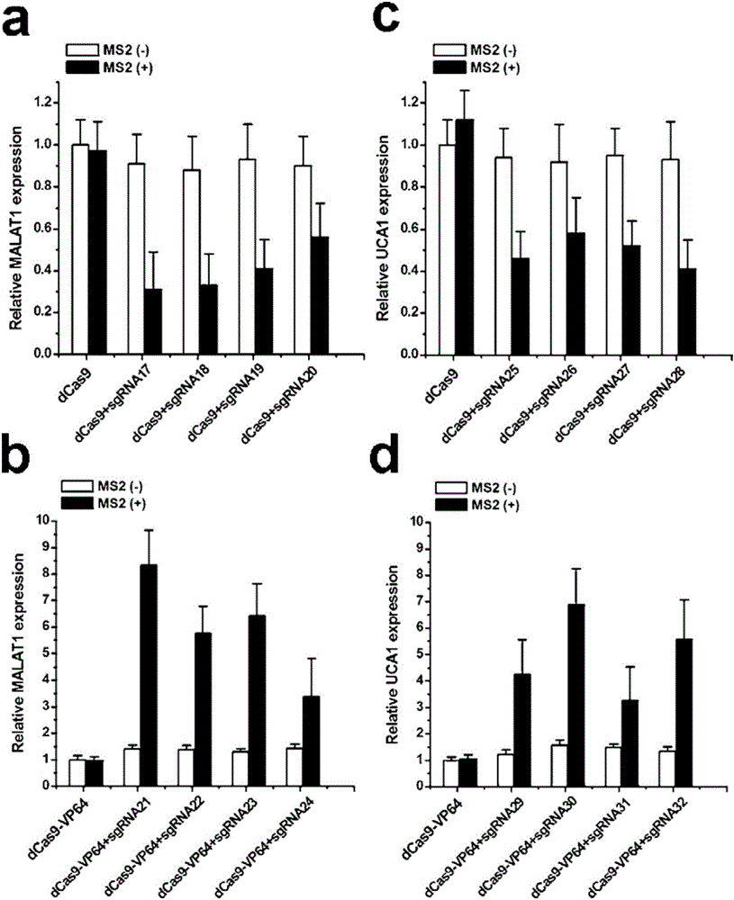 Gene control device and method based on CRISPR-Cas9