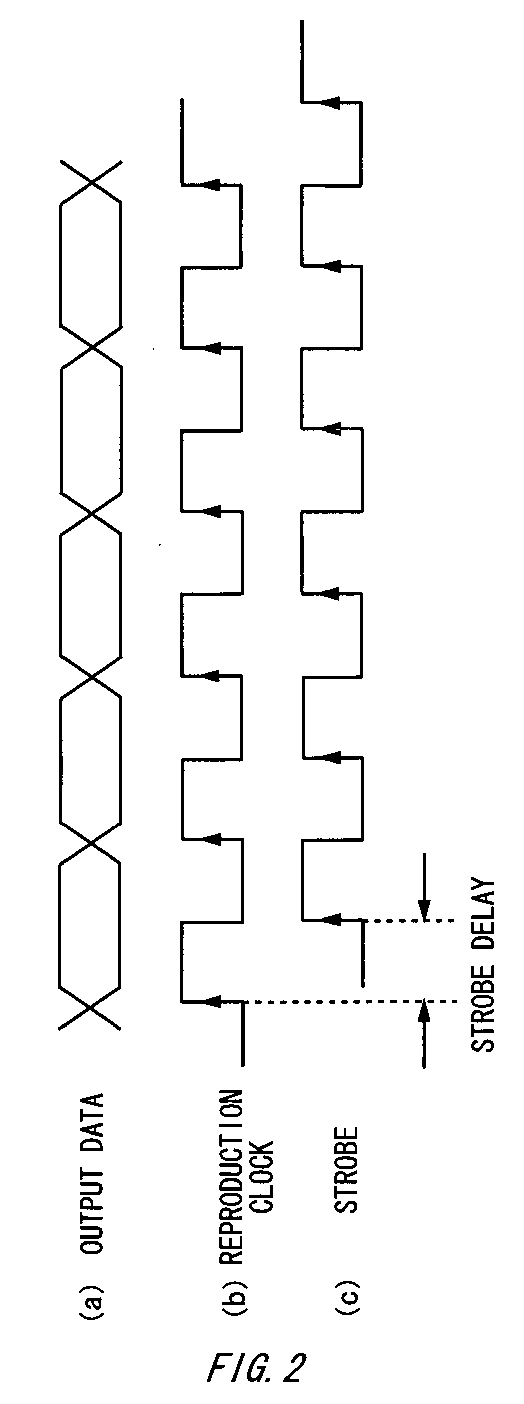 Testing apparatus and testing method