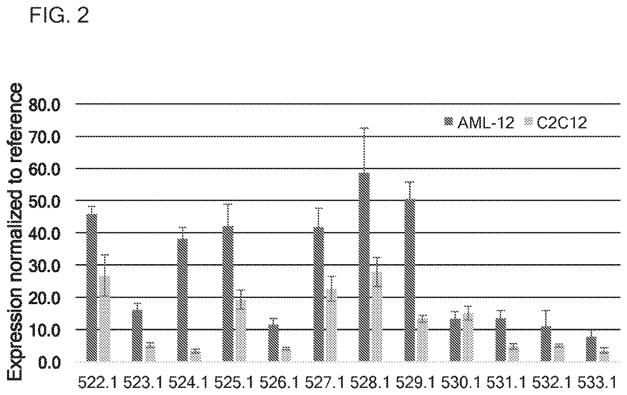 Therapeutics for glycogen storage disease type iii