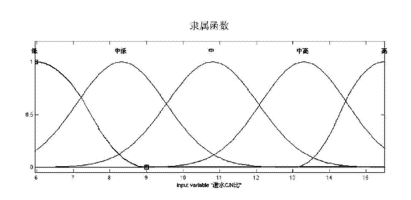 Fuzzy control device and method for A/O technique subsection water-feeding deep denitrogenation