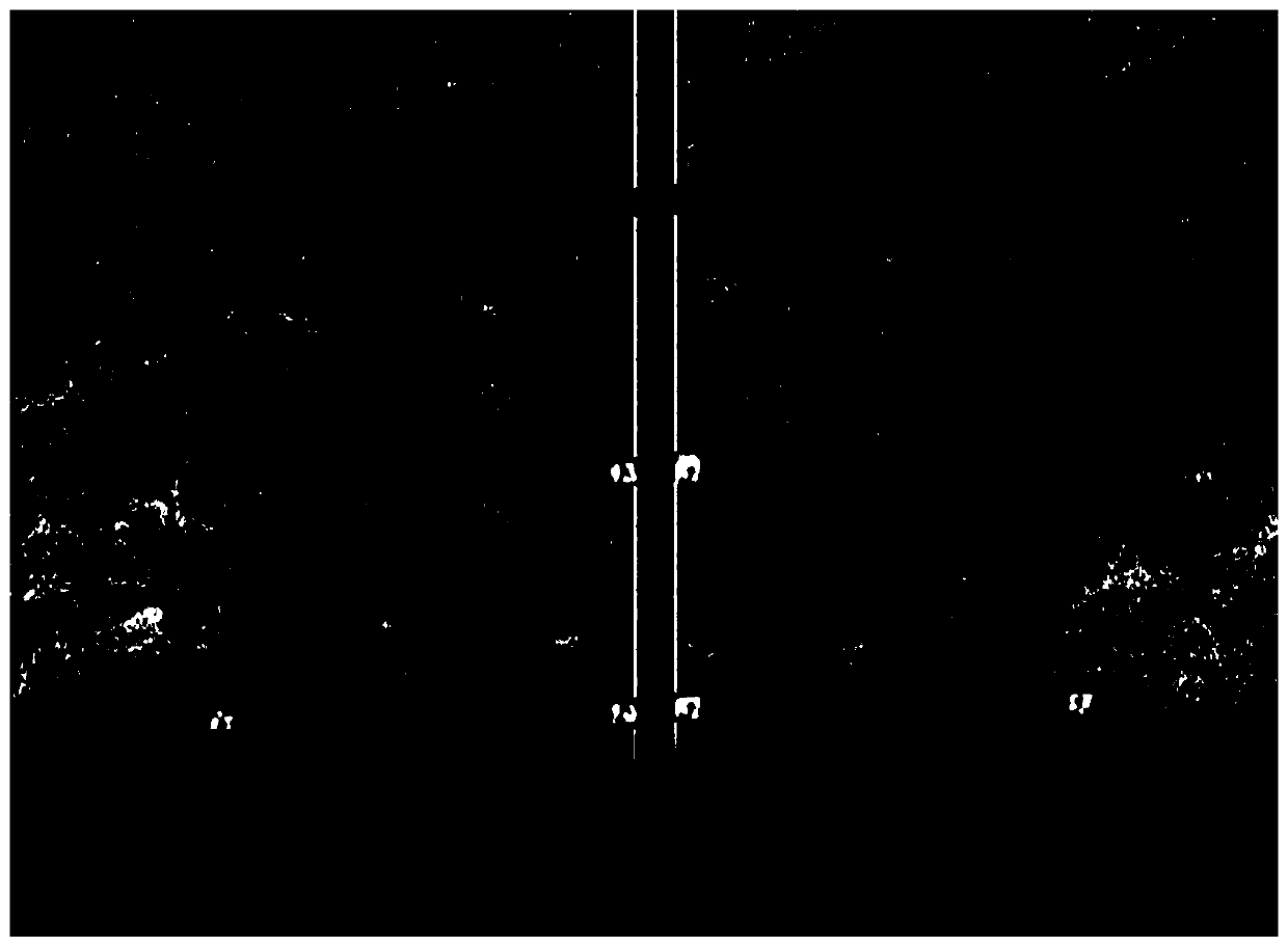 Integrated reconstruction method of temporary plugging diversion and fracture support in fractured carbonate reservoirs