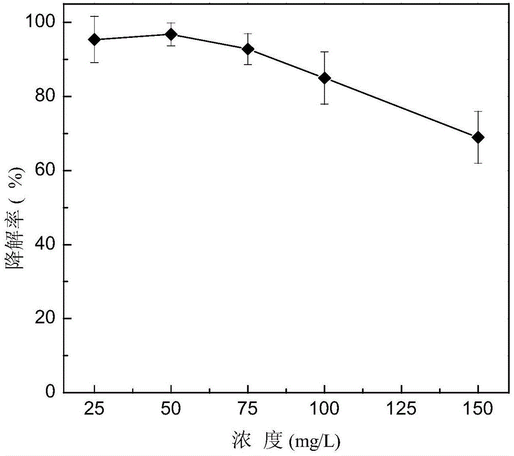 Light yellow mycobacterium and its application in degradation of oil components polycyclic aromatic hydrocarbons