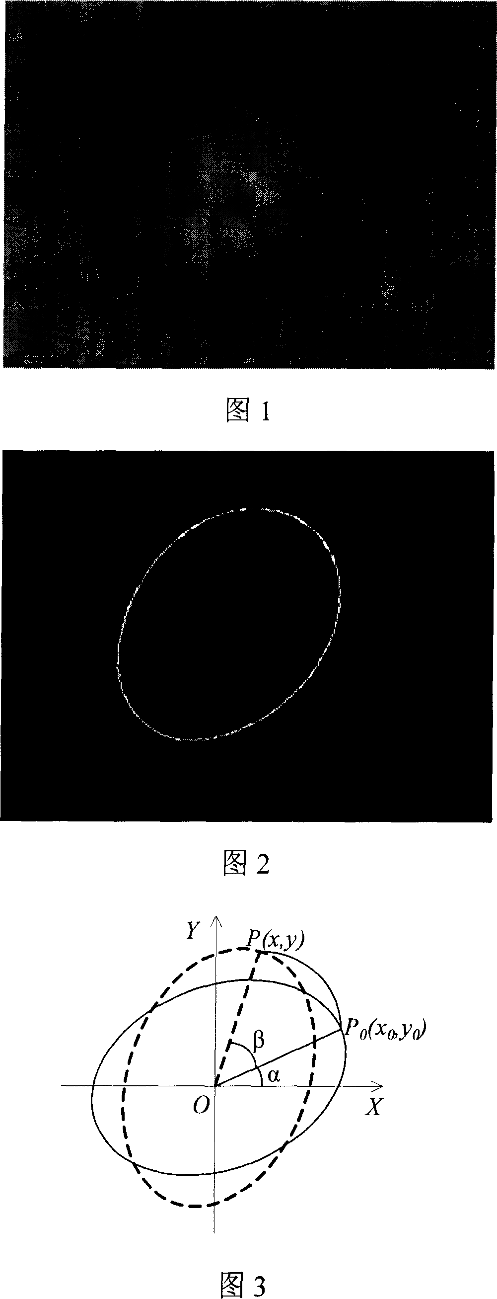 Method for concurrently detecting avian egg size, egg shape index and weight