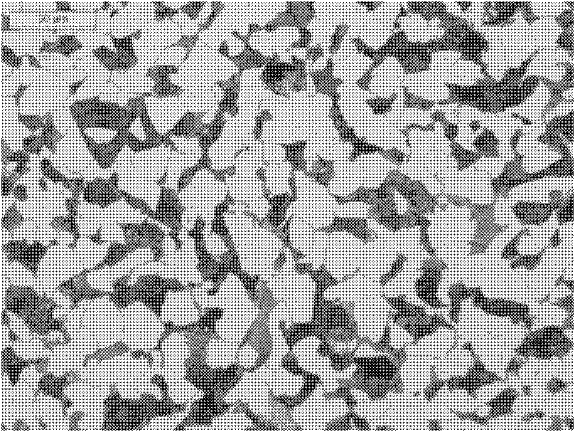 Steel for anticorrosion sucker rods in oil field and production method thereof