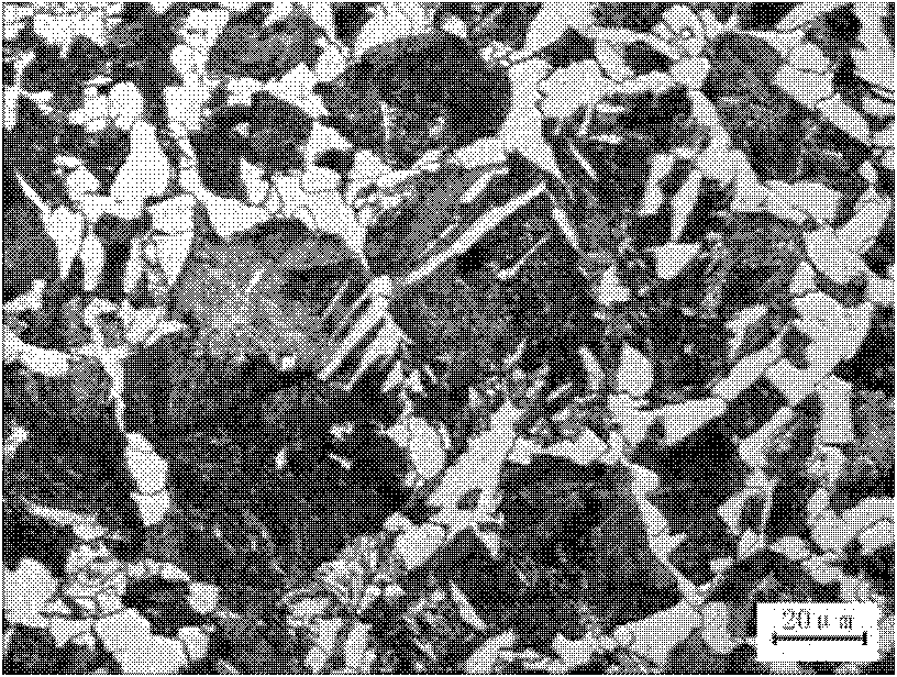 Steel for anticorrosion sucker rods in oil field and production method thereof