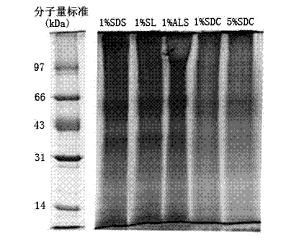 Treatment method of sample for membrane protein analysis identification