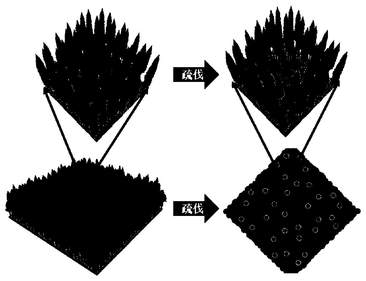 A kind of ecological public welfare forest reconstruction method in Western Sichuan