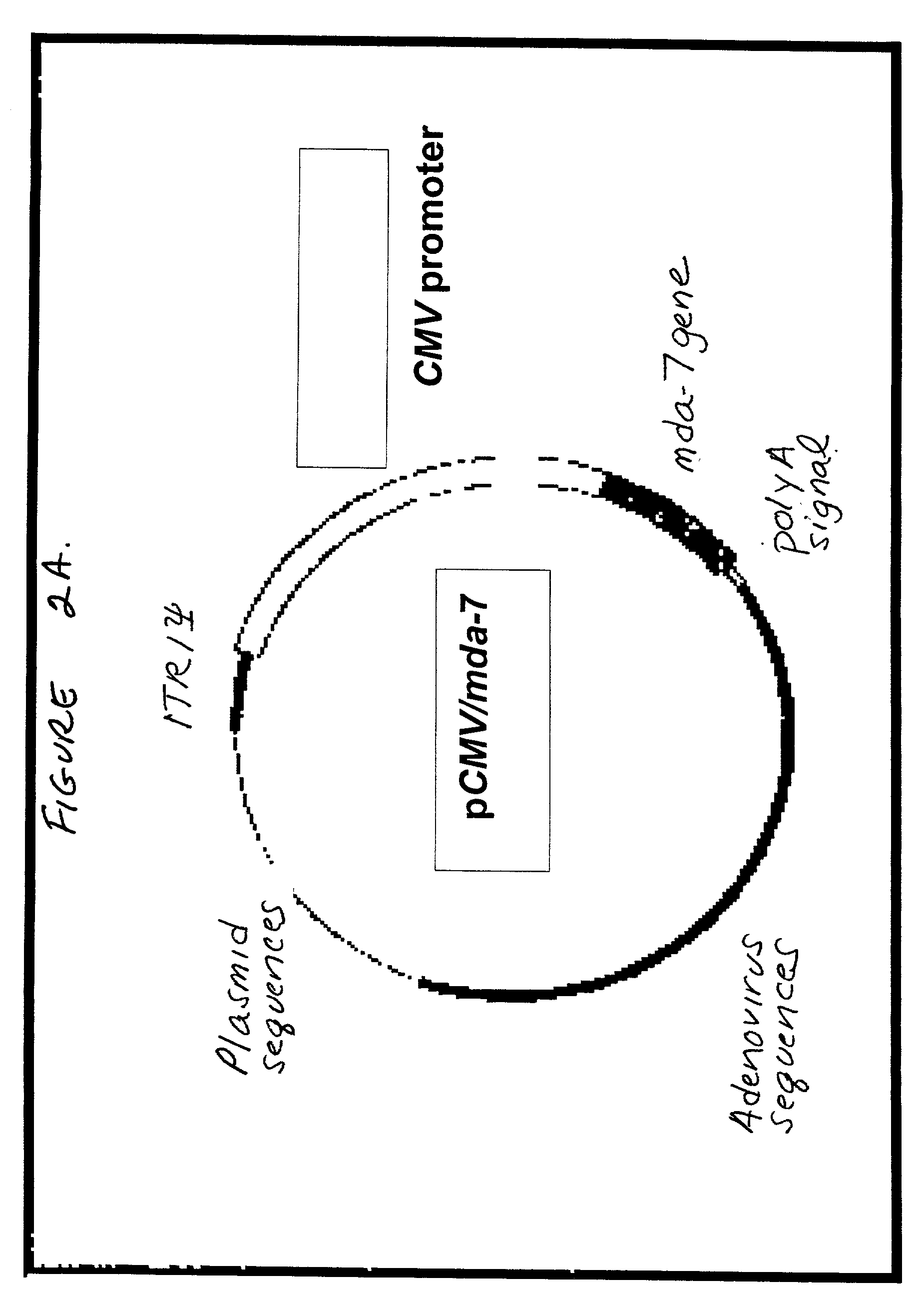 Combinatorial methods for inducing cancer cell death