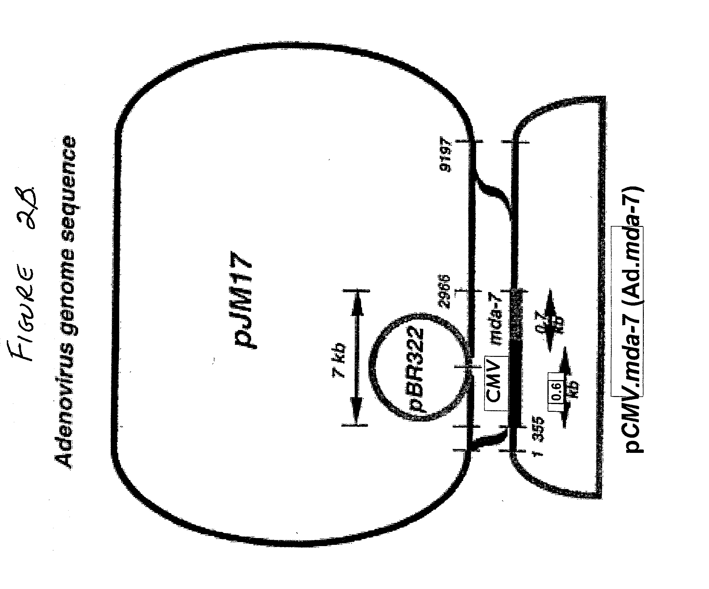 Combinatorial methods for inducing cancer cell death