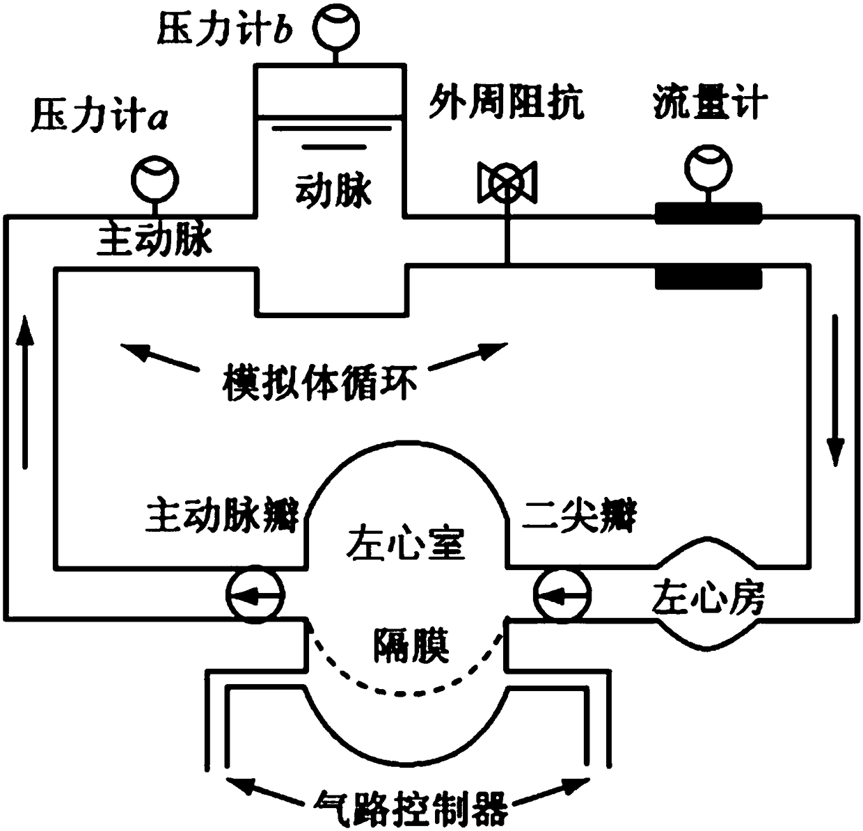 A Piston Ventricular Simulator for Simulating the Circulatory System Outside the Body