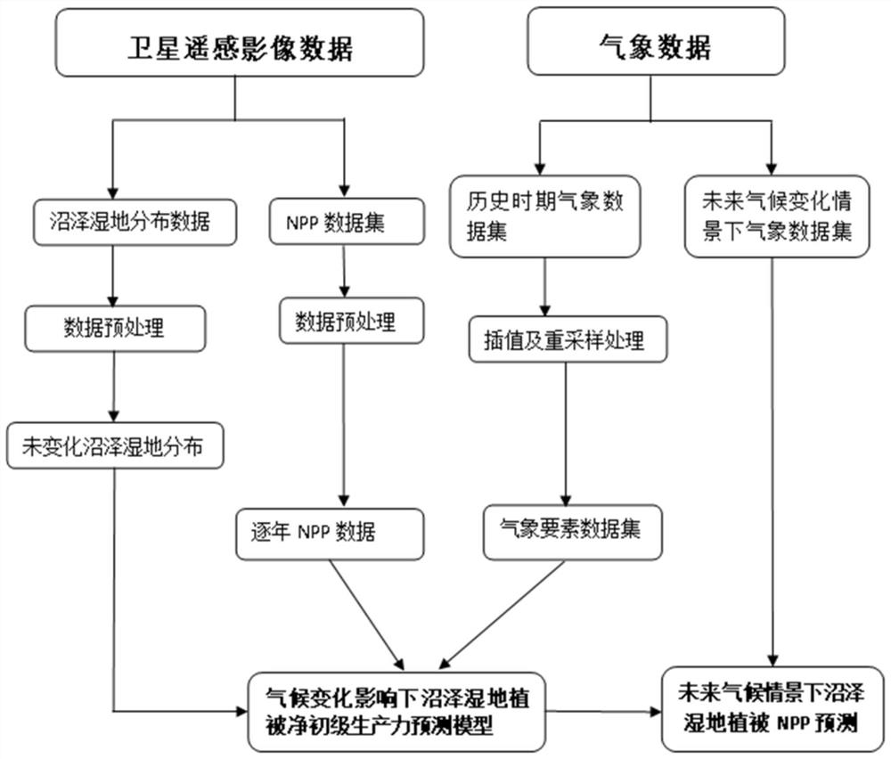 Method for predicting net primary productivity of vegetation in regional marsh wetland