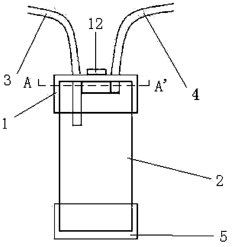 Sputum culture and suction device