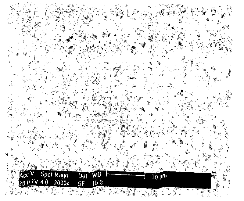 Silicon oxide and protamine microcapsule and preparation method thereof