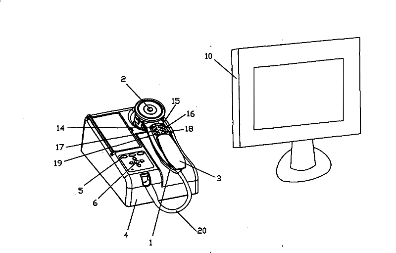 Iris diagnostic device