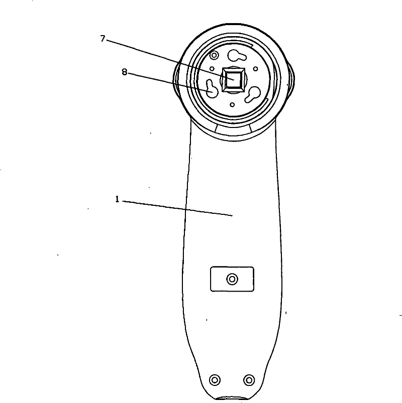 Iris diagnostic device