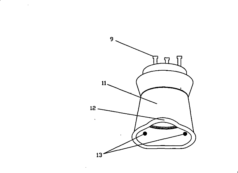 Iris diagnostic device