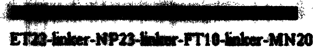 SARS-Cov gene vaccine based on epi-position and its contruction