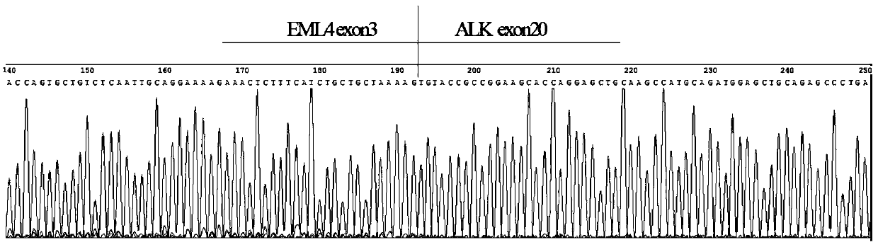 Preparation method of fusion gene positive control standard