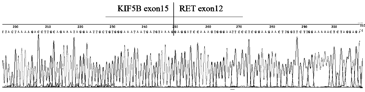 Preparation method of fusion gene positive control standard