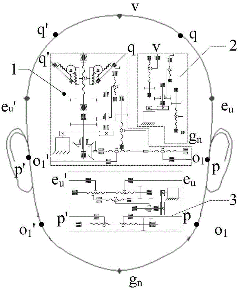 A humanoid avatar robot with variable face shape and facial organs, its mathematical modeling method and control method