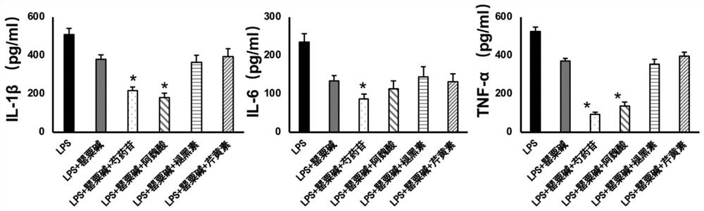 Pharmaceutical composition containing papaverine and paeoniflorin and application of pharmaceutical composition