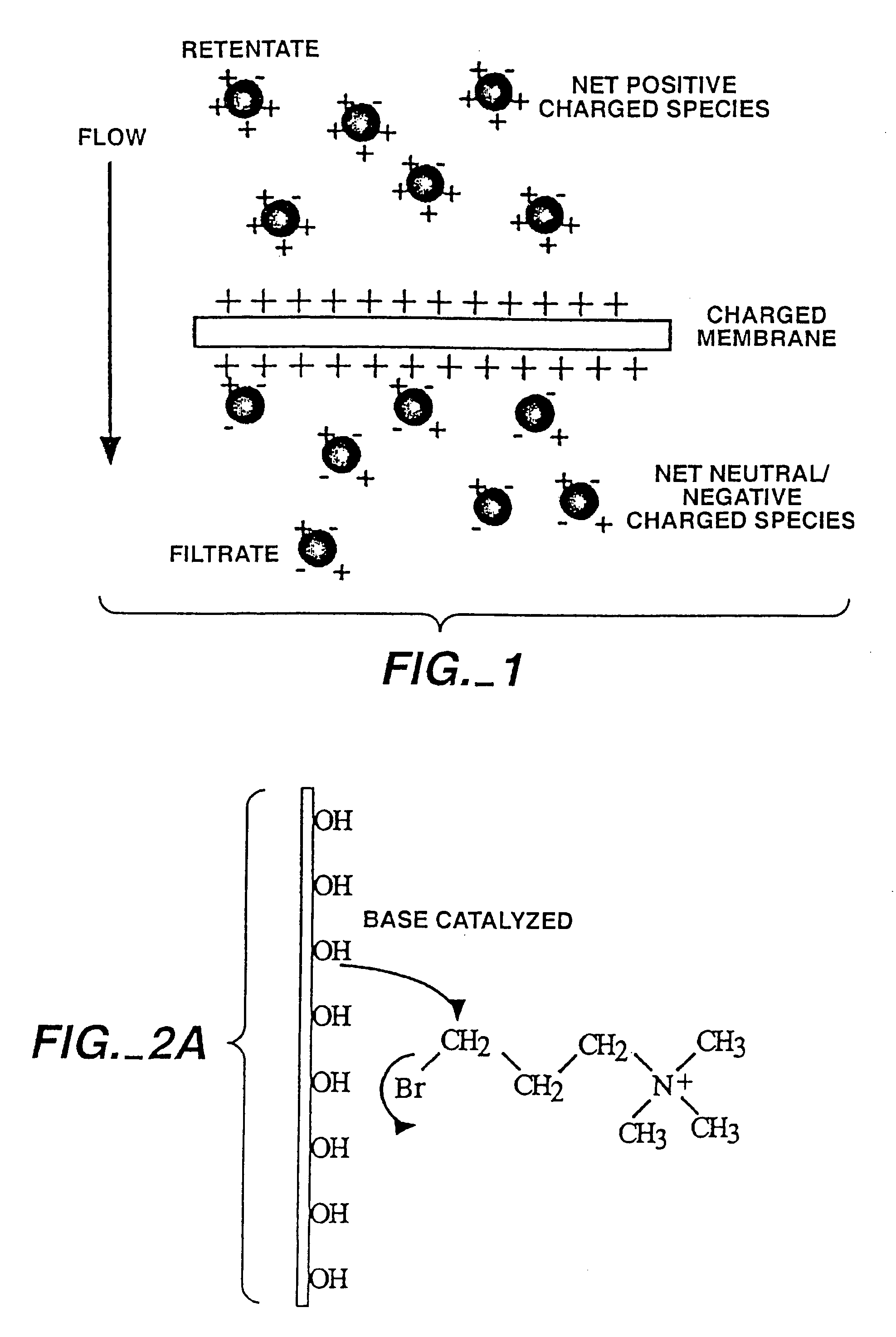 Charged filtration membranes and uses therefor