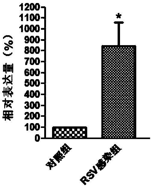 Molecular marker in blood serving as diagnosis index of respiratory syncytial virus infection