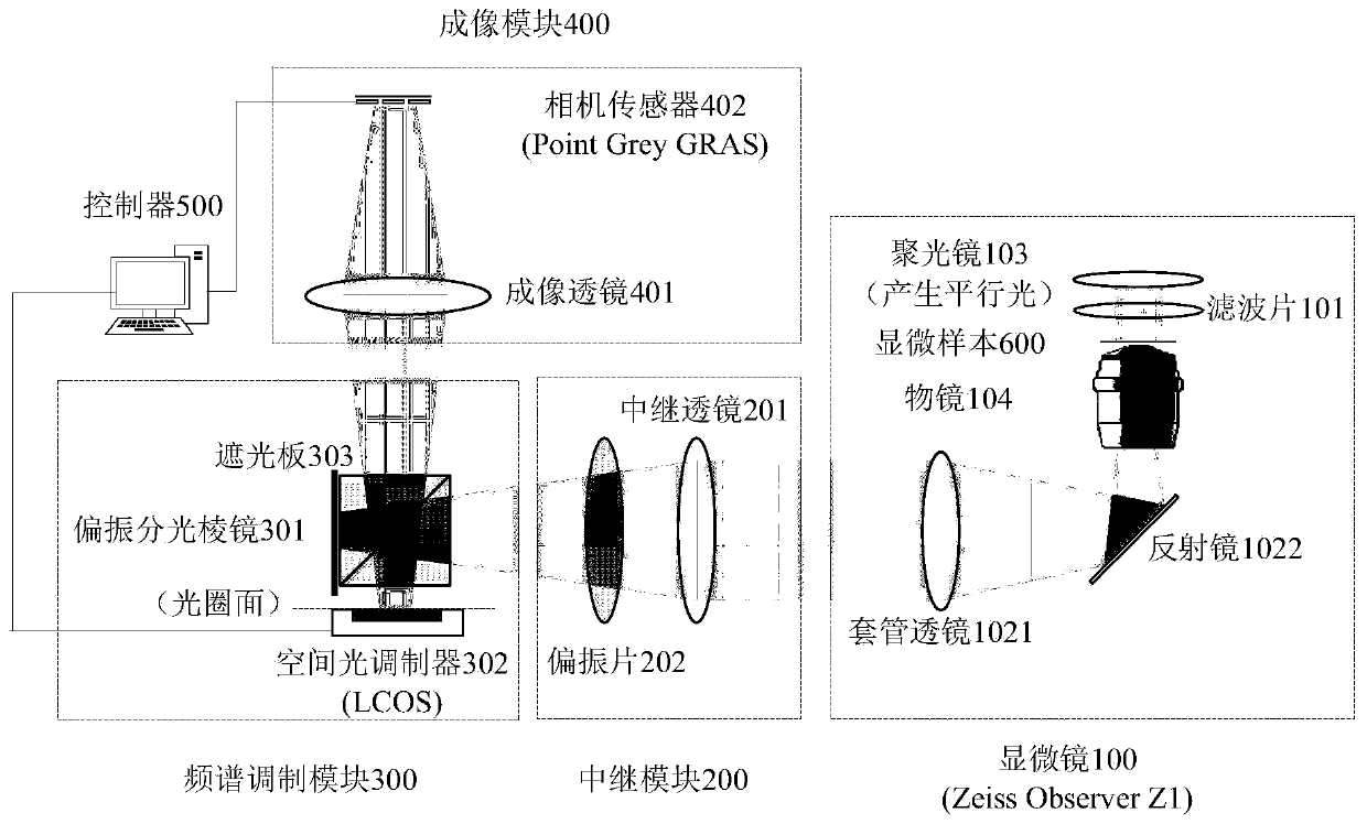 Frequency domain mosaic microscopy system based on spatial light modulator