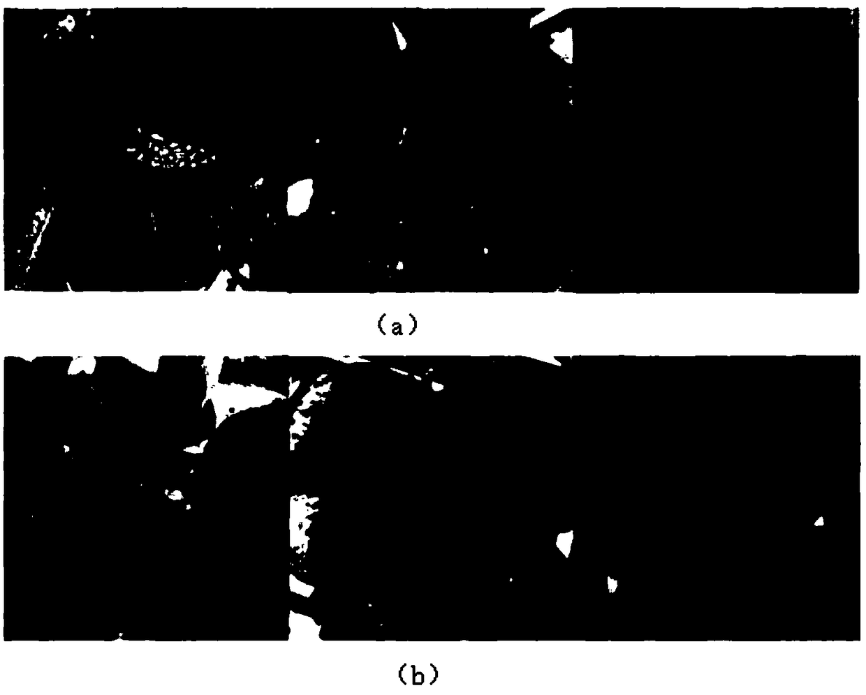 Graphene pesticide compound and preparation method thereof