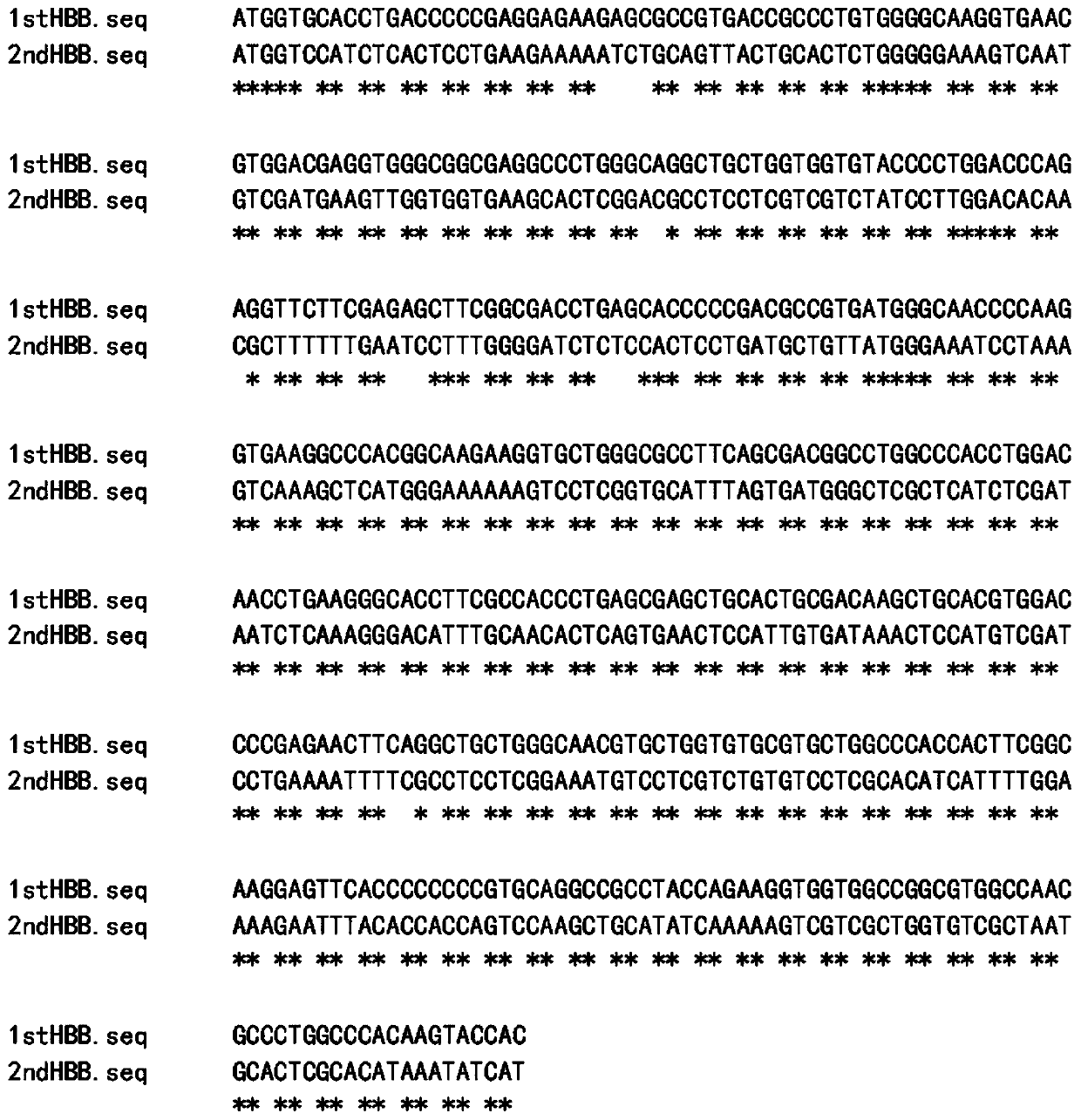 Globin gene dual-expression lentivirus vector and application thereof