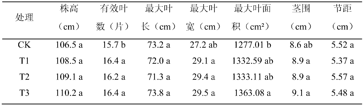 Under-film kiln-type transplantation method for tobacco seedlings