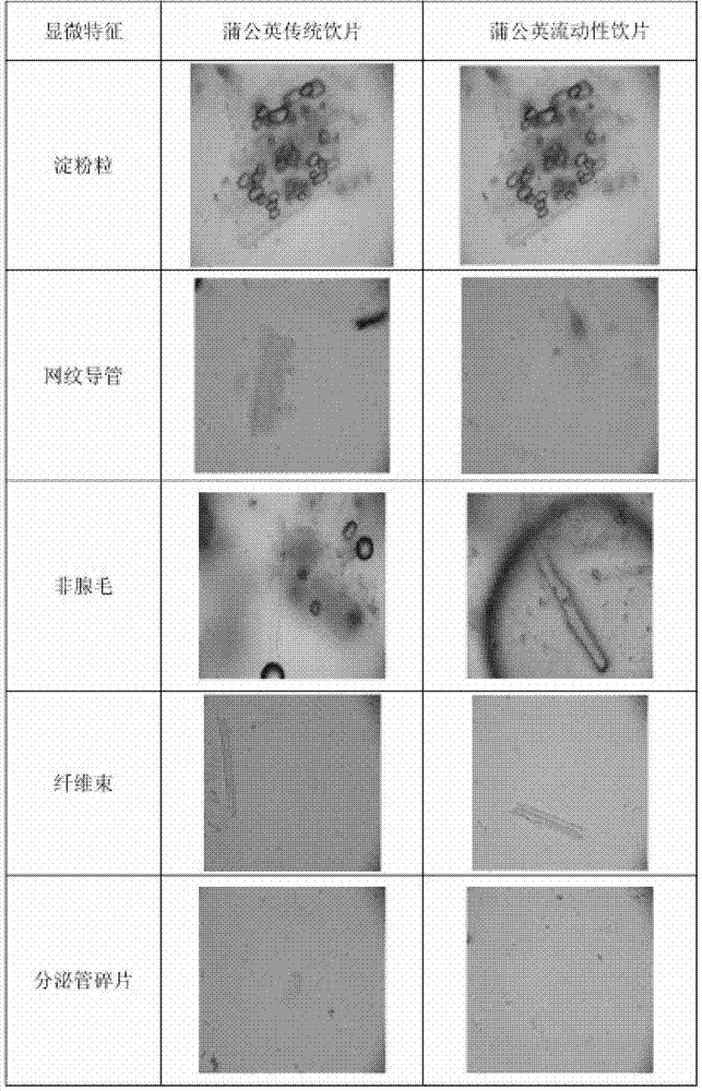 Dandelion fluid decoction pieces and preparation method thereof