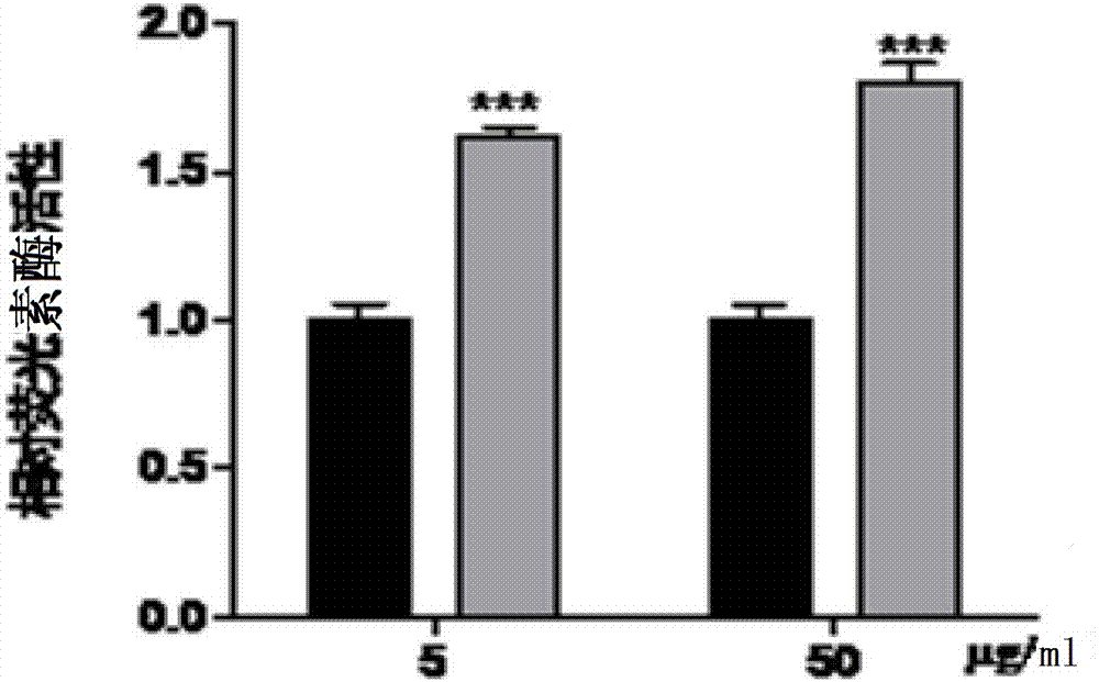 Collagen secretion promotion ultrashort peptides and application thereof