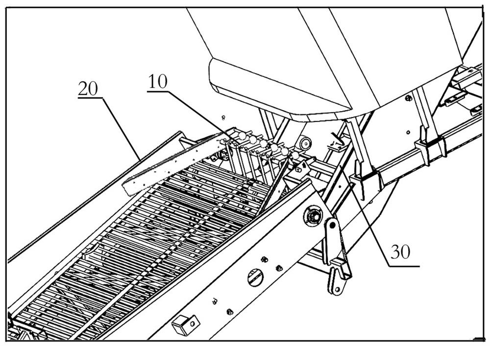 Weed removing device for tuber crop harvester