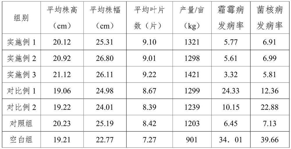 Liquid fertilizer prepared from microorganisms and applicable to green vegetables and preparation method of liquid fertilizer