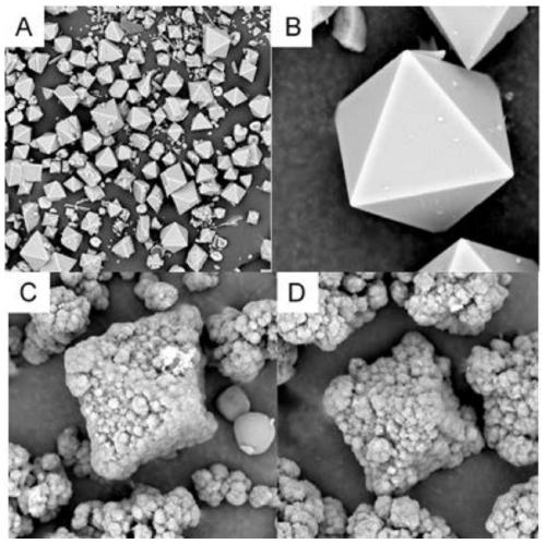 Aflatoxin surface imprinted polymer based on HKUST-1 and application of polymer