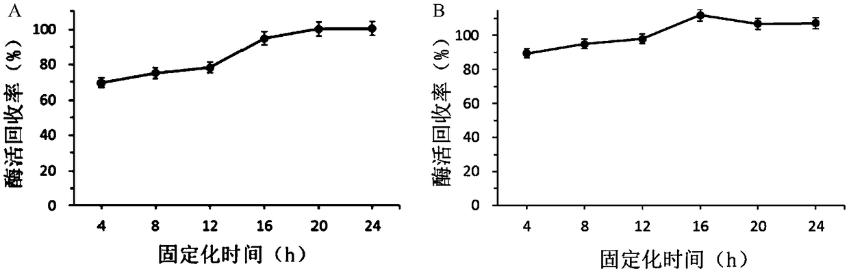 Immobilization method of sucrose phosphorylase