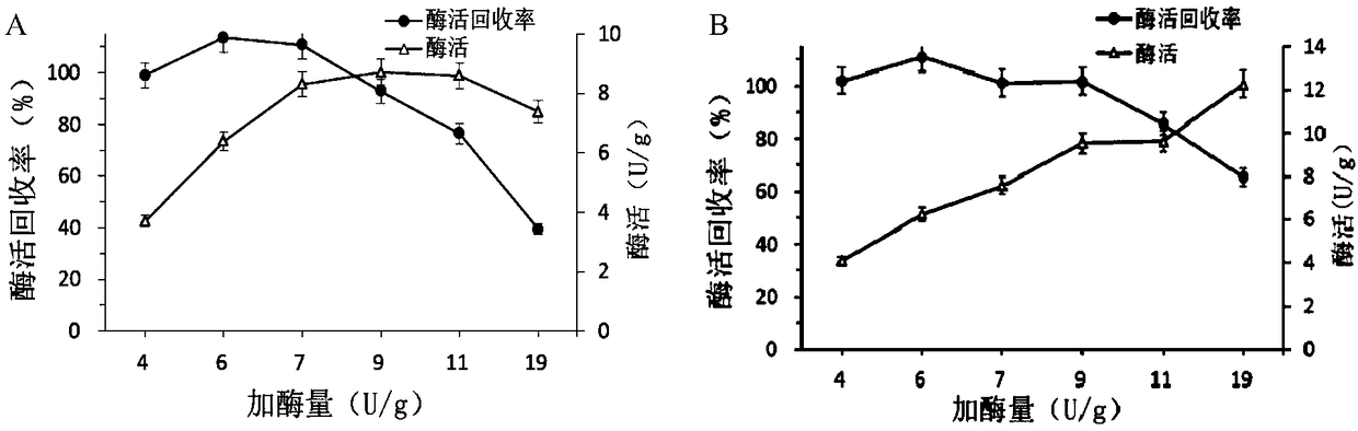 Immobilization method of sucrose phosphorylase