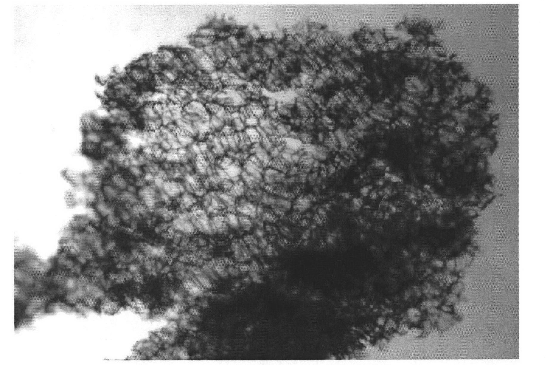 Biomass adsorbent and preparation method thereof