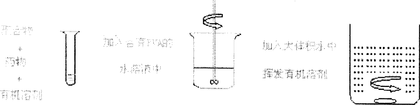 Cyclosporine microball preparation for treating endophthalmitis