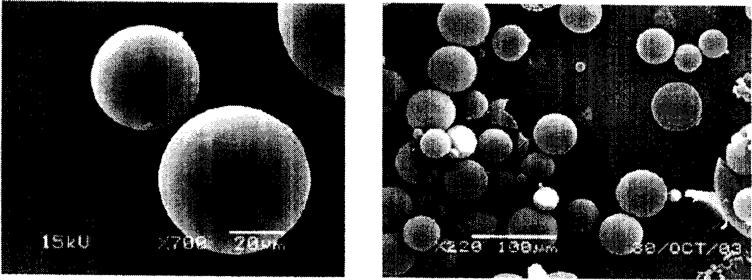 Cyclosporine microball preparation for treating endophthalmitis