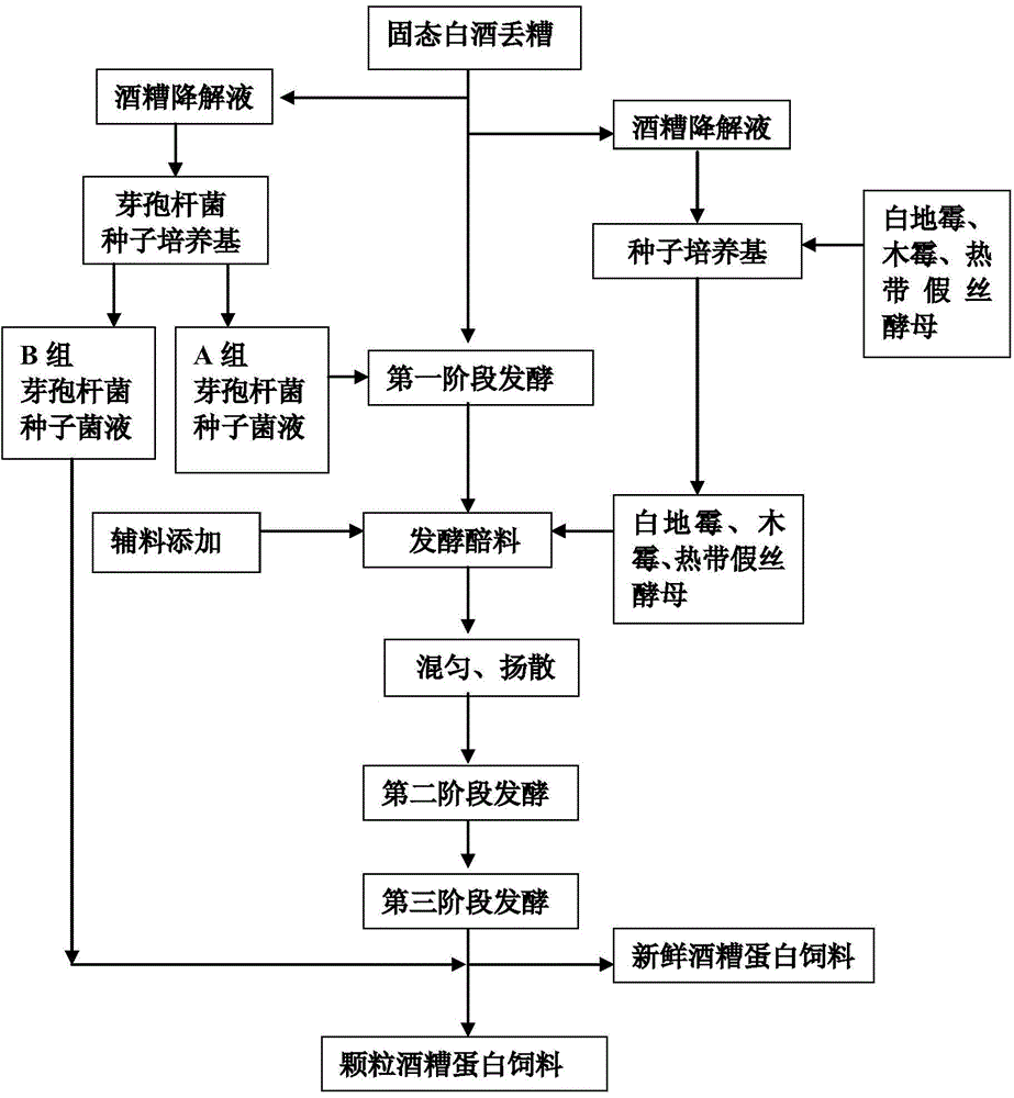 Method for preparing distillers' grain protein feed through three-stage mixed bacterium solid state fermentation