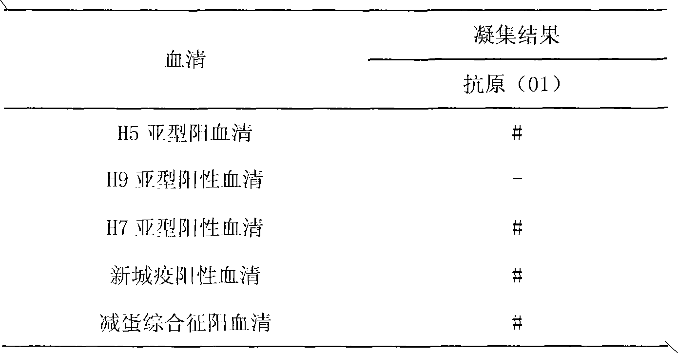 Avian influenza virus H9 subtype hemagglutination inhibition antigen standard substance and preparation method thereof