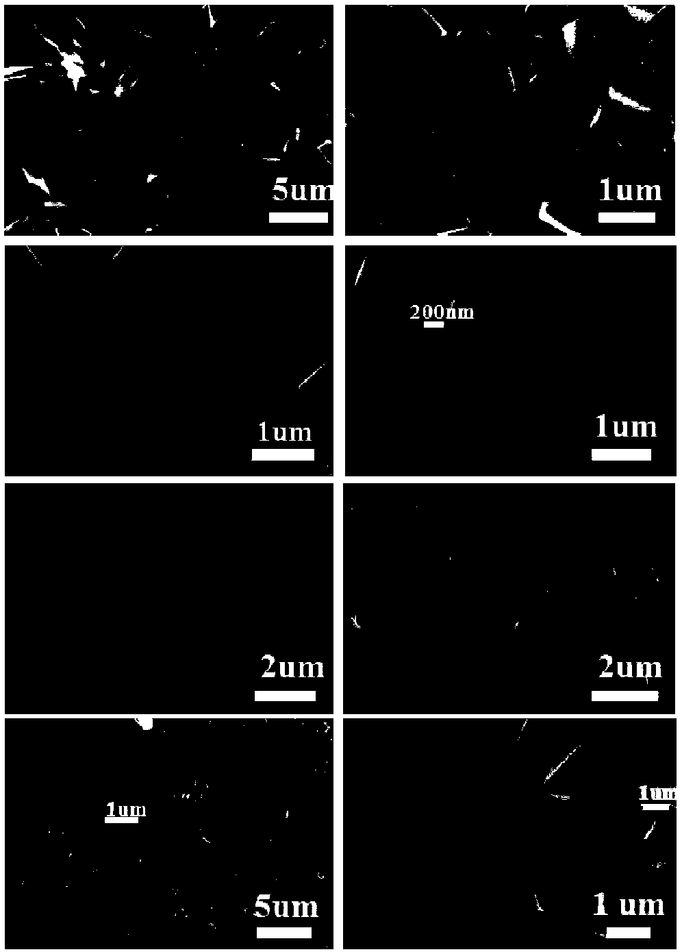 Spirofluorenexanthene disubstituted carbazole based organic nanometer material and preparation method thereof