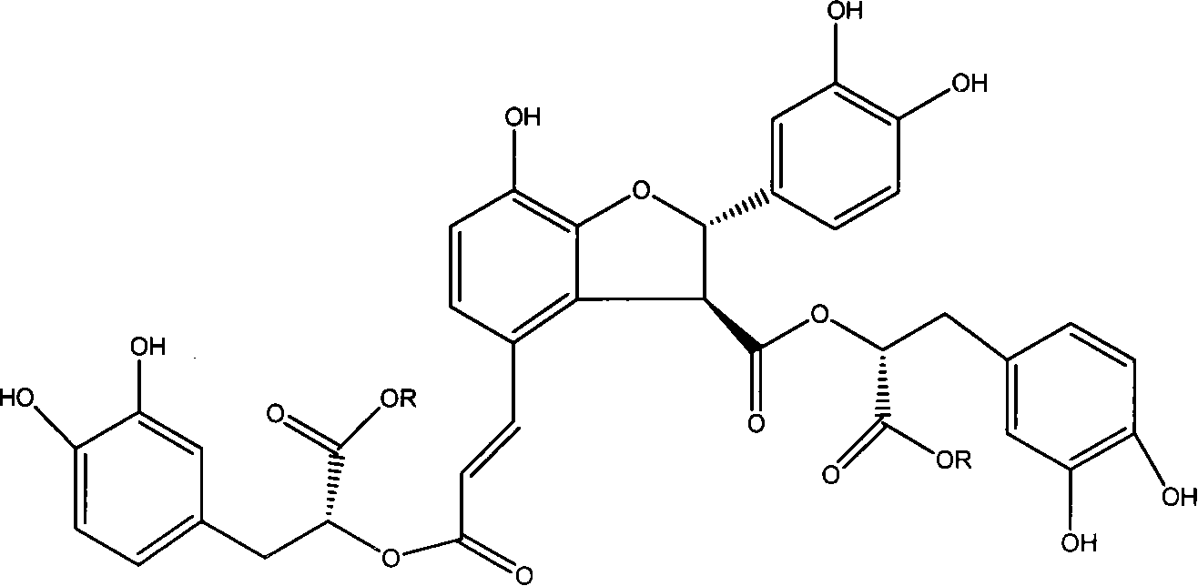 Application of structure modified products of salvianolic acid B in pharmacy