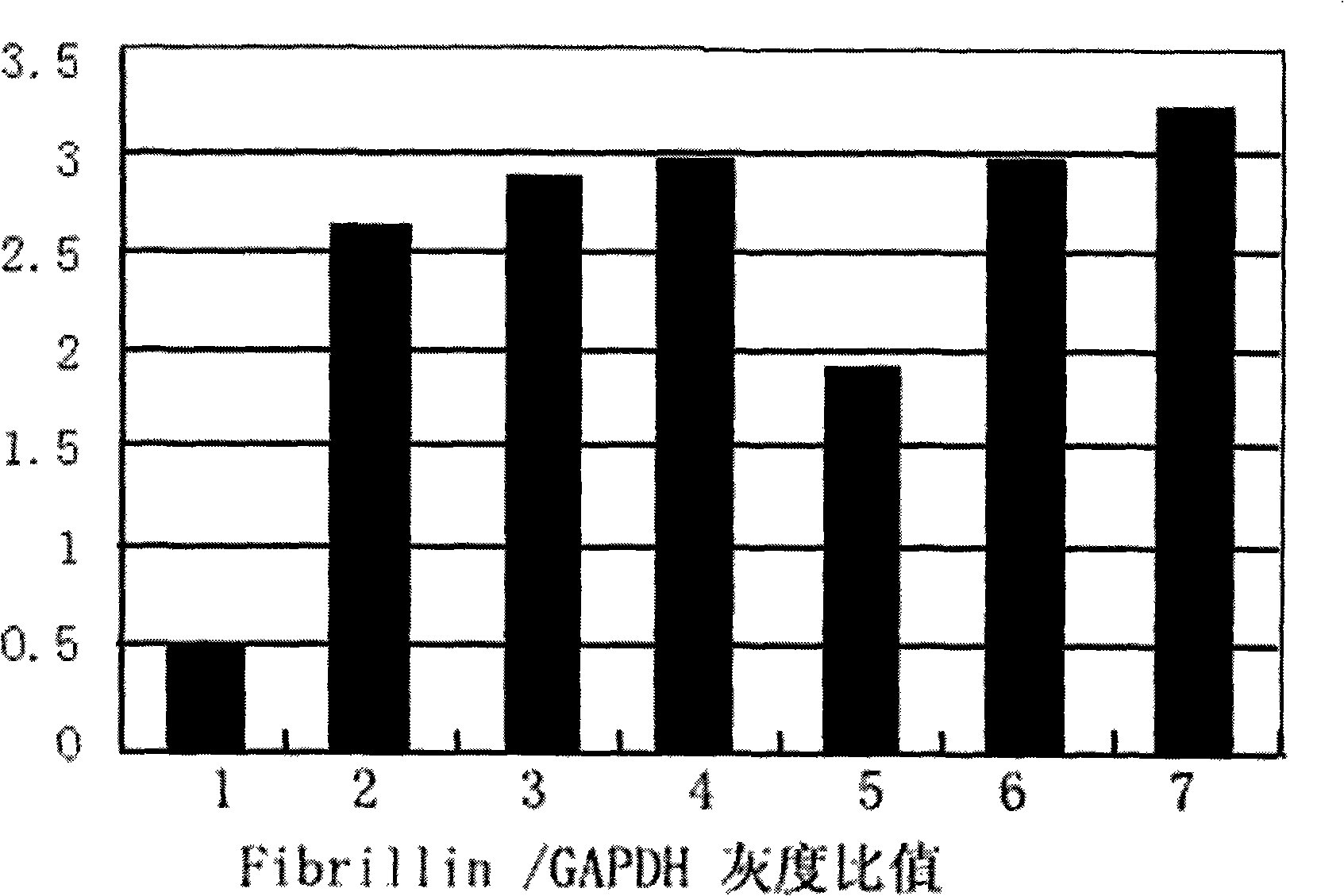 Novel use of Cistanche tubulosa extract