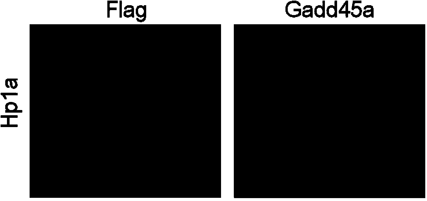 Method for changing cell fate