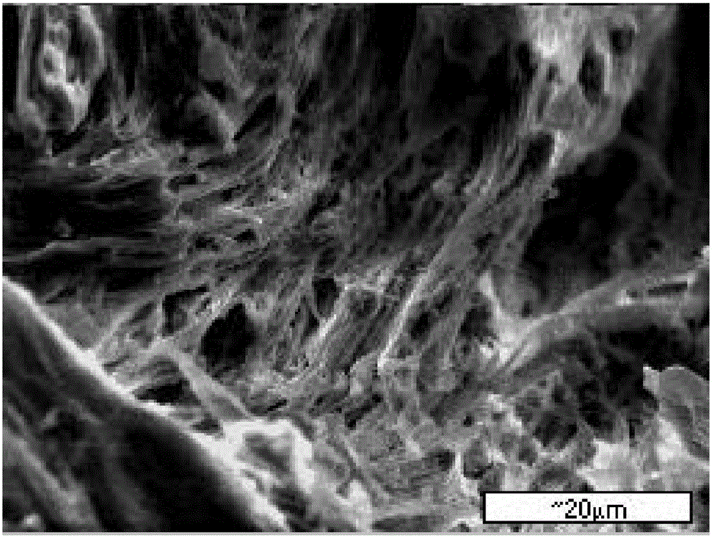 Method for preparing inorganic nanoparticle/polyethylene copolymer composite material