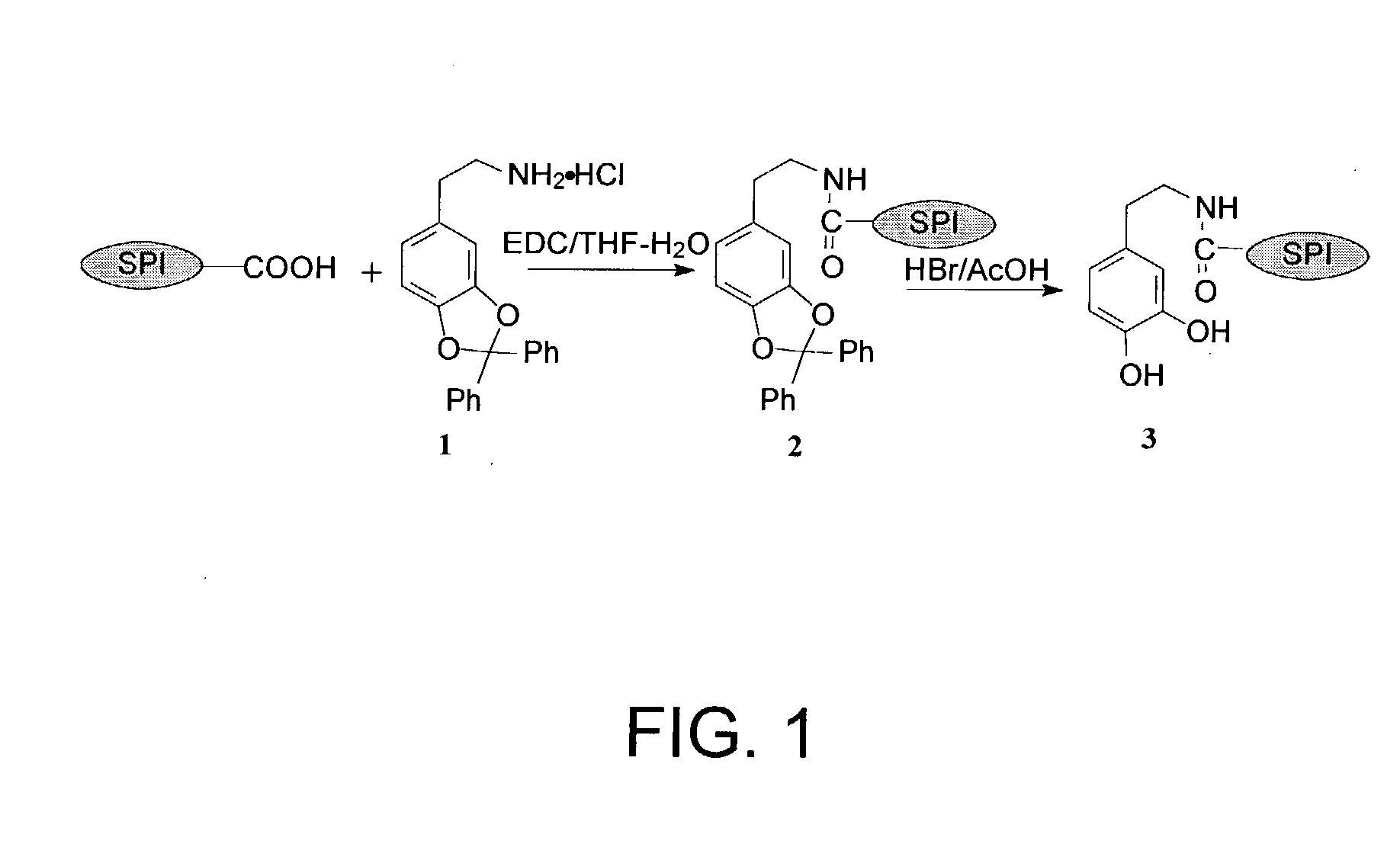 Modified protein adhesives and lignocellulosic composites made from the adhesives